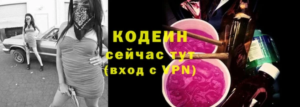 мдма Ельня