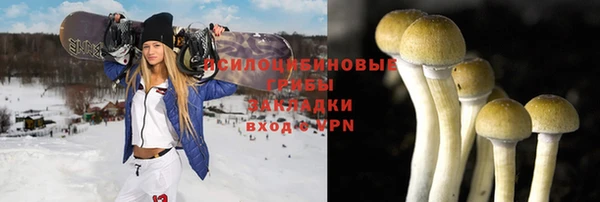 хмурый Козловка