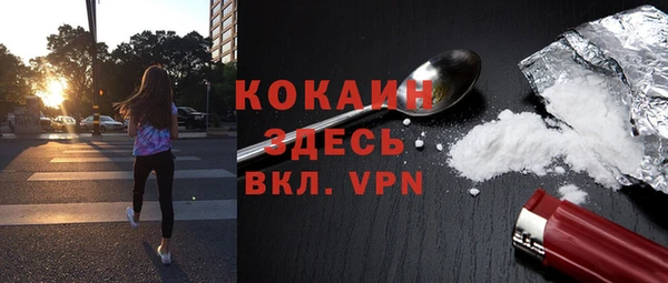 PSILOCYBIN Елизово
