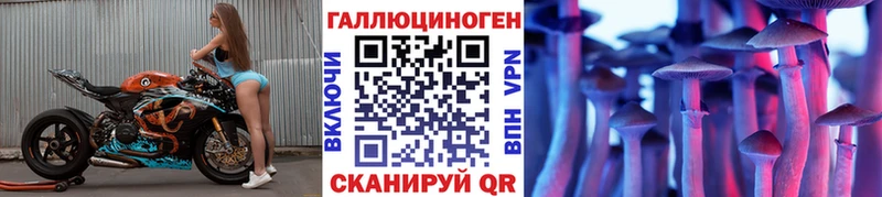 купить закладку  Горняк  Псилоцибиновые грибы прущие грибы 